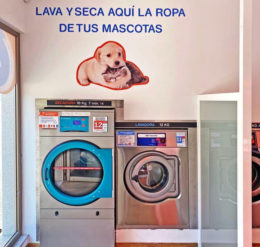 Somos especialistas en lavandería de mascotas en Lugo